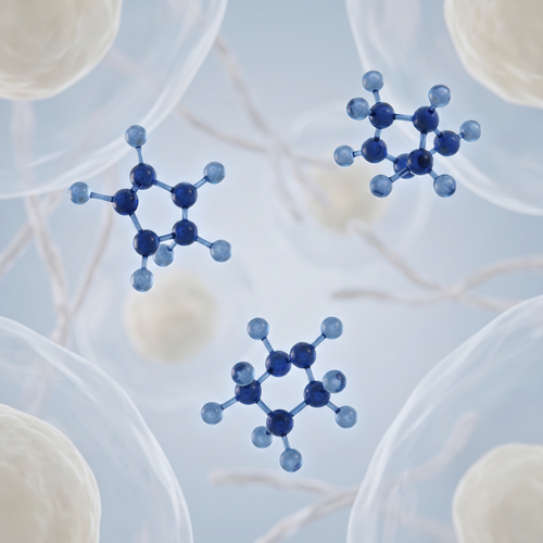 Leucine isoleucine and valine
